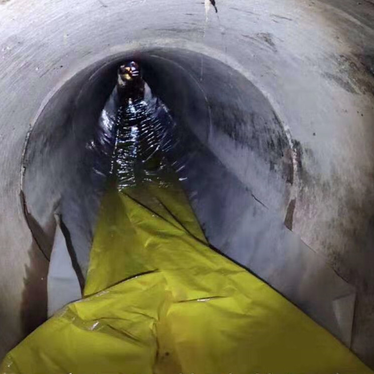 畜禽良种场管道光固化修复