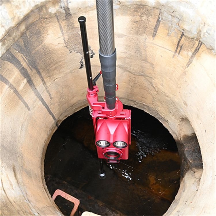 畜禽良种场管道潜望镜检测（QV检测）