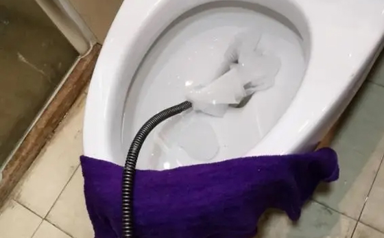 畜禽良种场马桶疏通