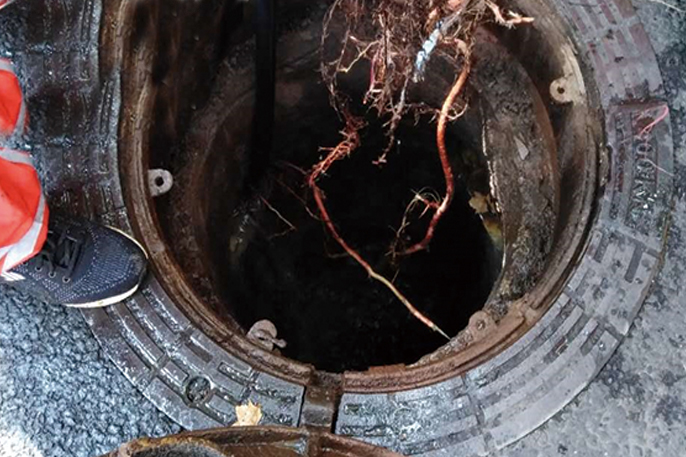 畜禽良种场管道预处理